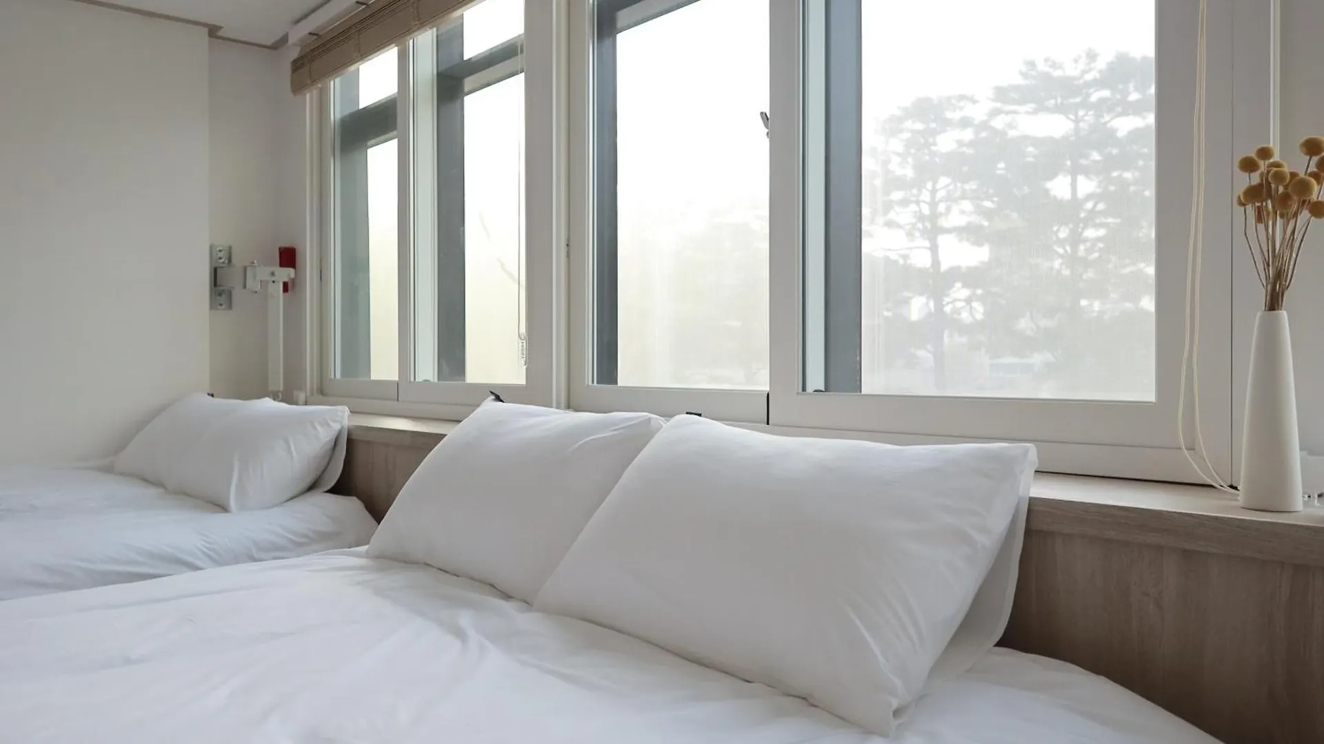 Manso Hostel In Ddp Seoel