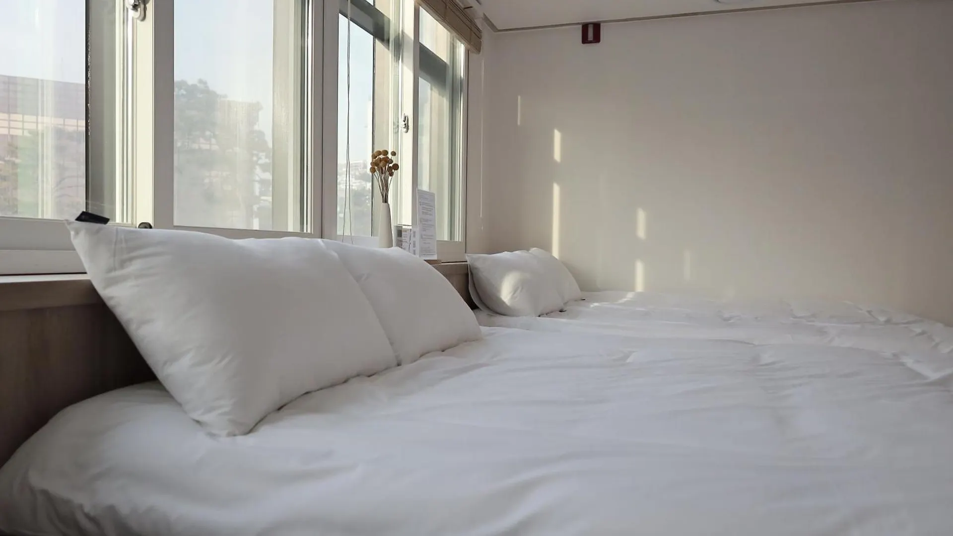 Manso Hostel In Ddp Seoel 0*,  Zuid-Korea