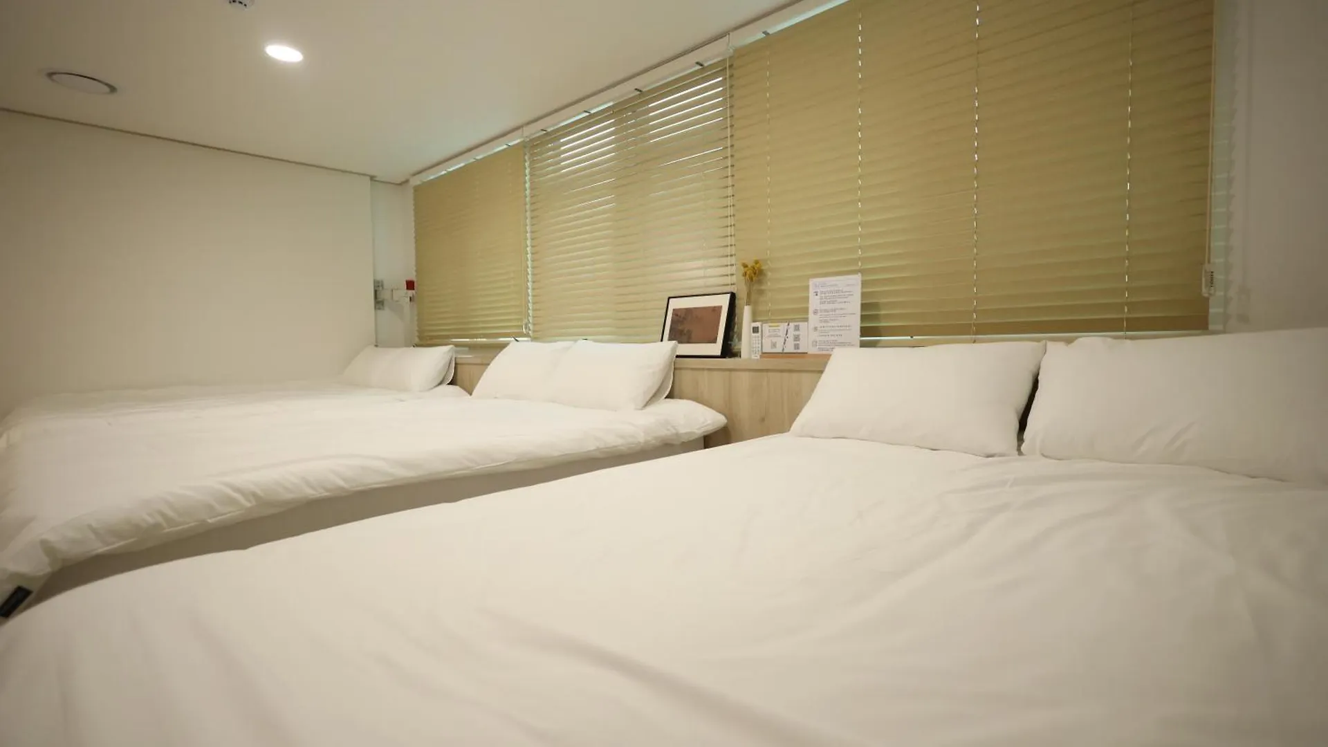Manso Hostel In Ddp Seoul Sydkorea