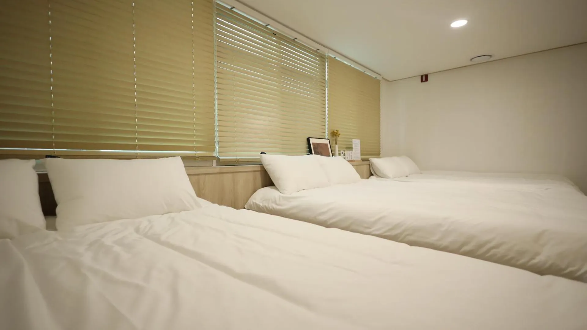Manso Hostel In Ddp Seoul Sydkorea